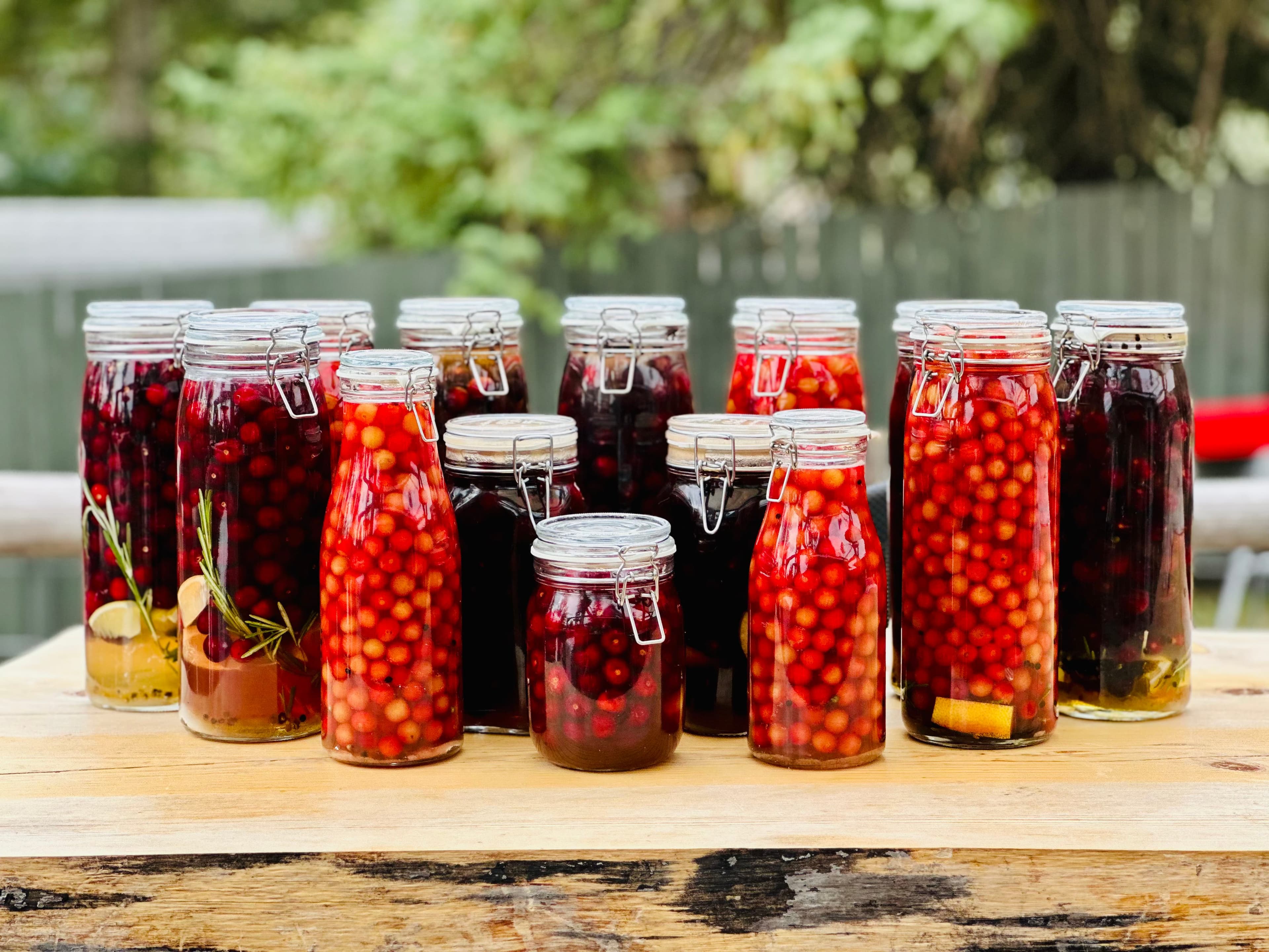Rows of fruit-infused liquor jars on a rustic table at Red's Tavern