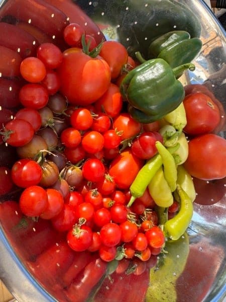 Heirloom tomatoes and peppers fresh from Louise's garden at Watson's