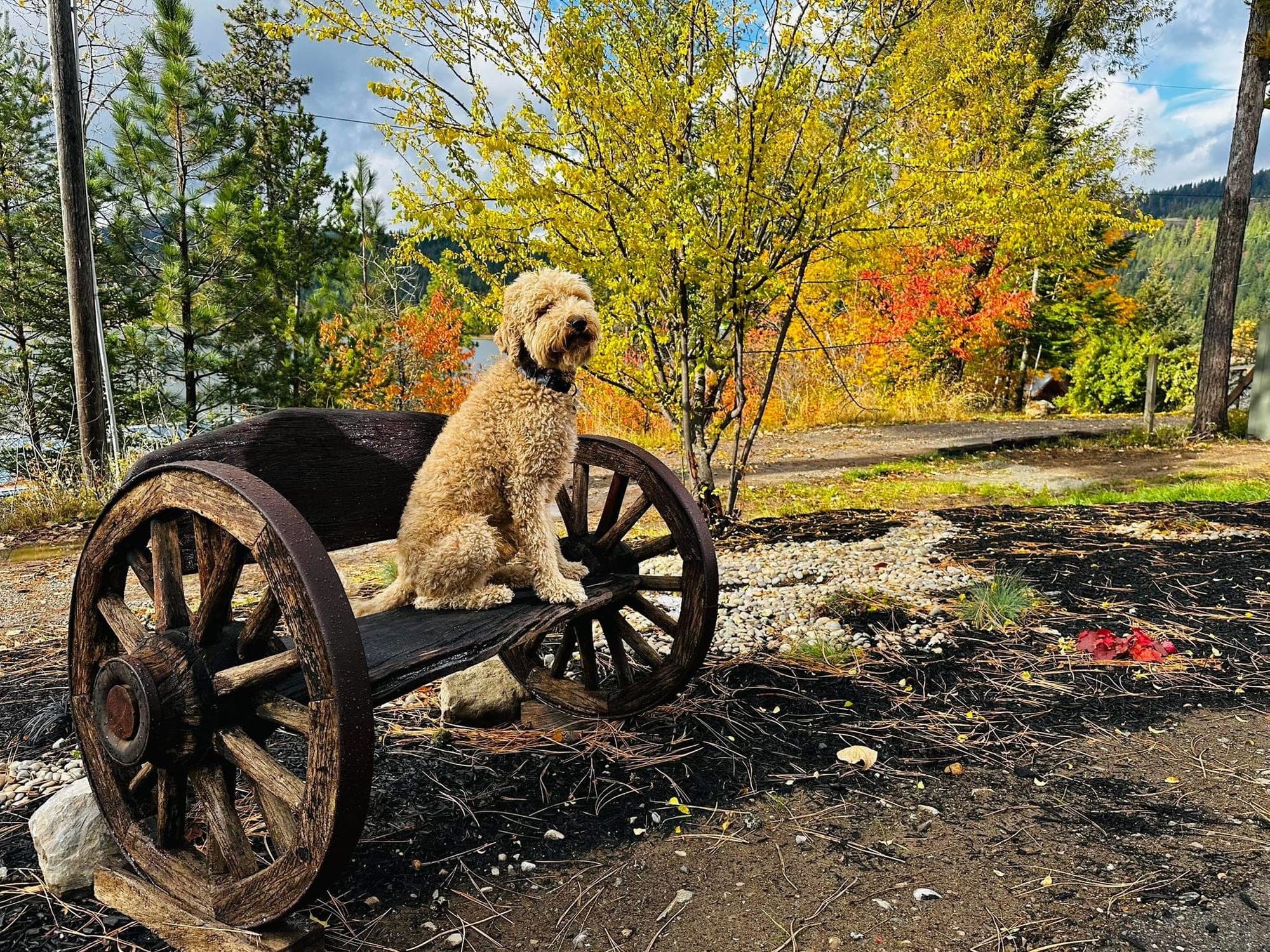 Antique wagon-wheel bench on the lakefront lawn at Watson's in autumn light